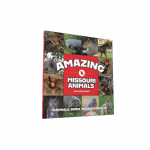 Amazing Missouri Animals (Preorder)
