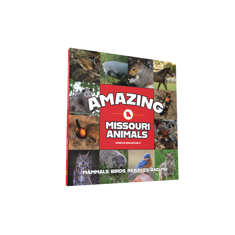 Amazing Missouri Animals (Preorder)