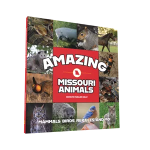 Amazing Missouri Animals (Preorder)